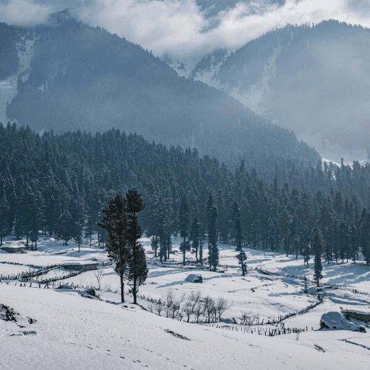 Religious Pilgrimage