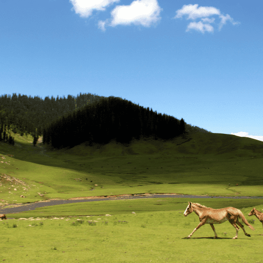 Eco and Responsible Tourism